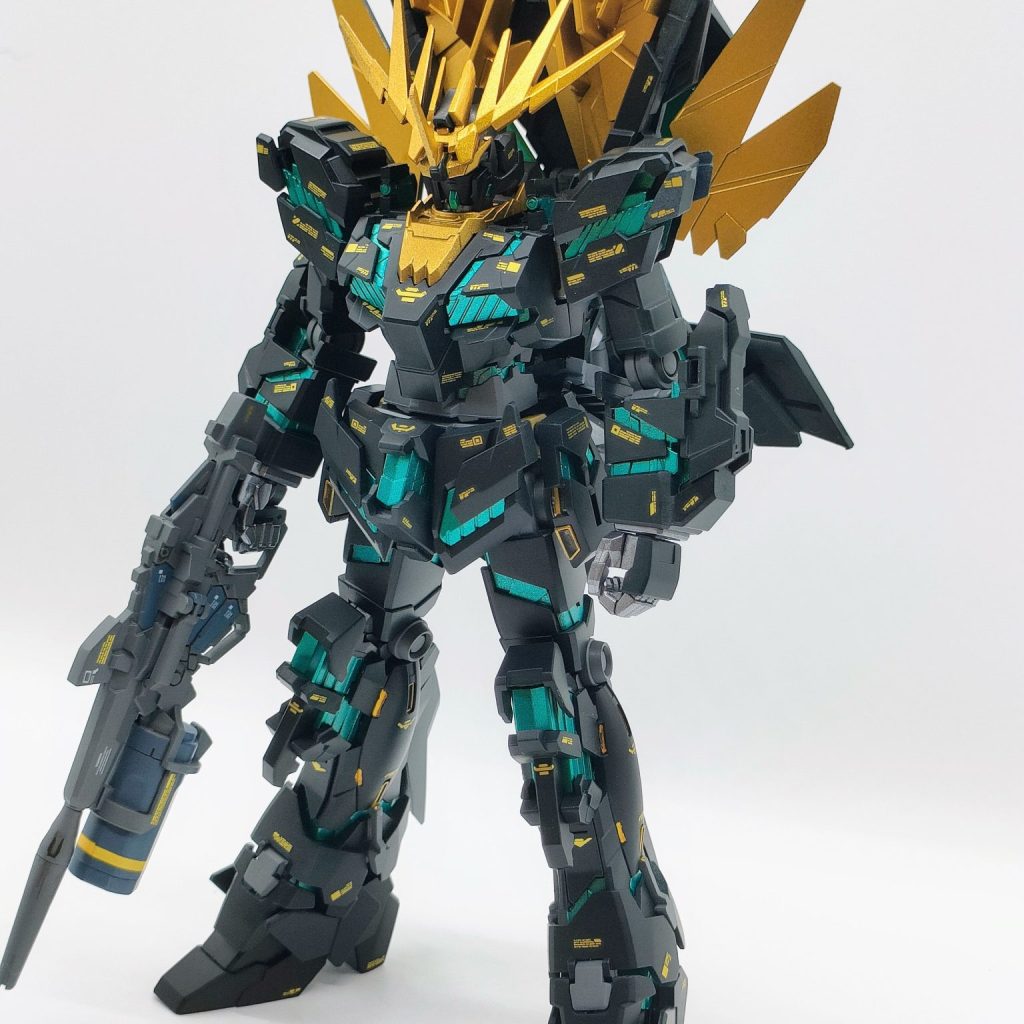 IMG20240809054252-Copy-aspect-