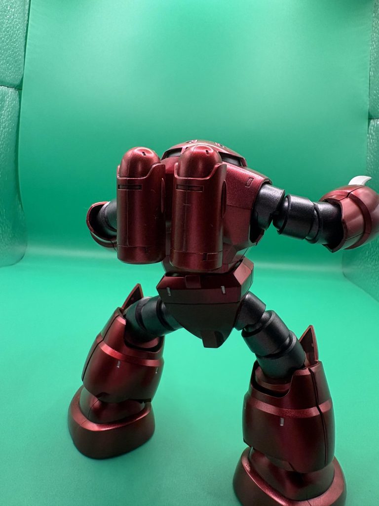 バックショットです