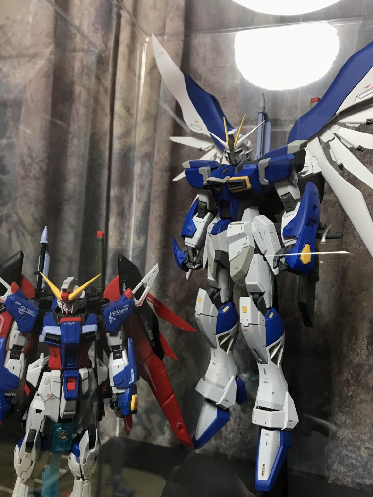 rgディステニーと並べてみました。