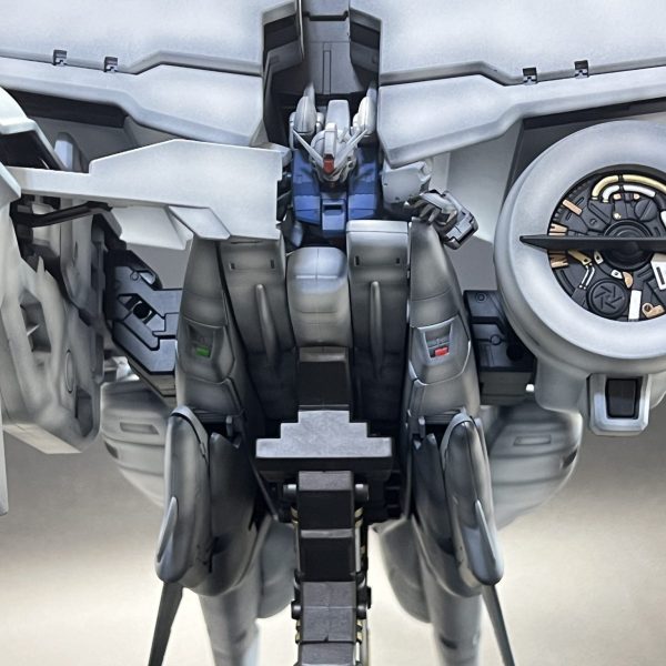 デンドロビウム