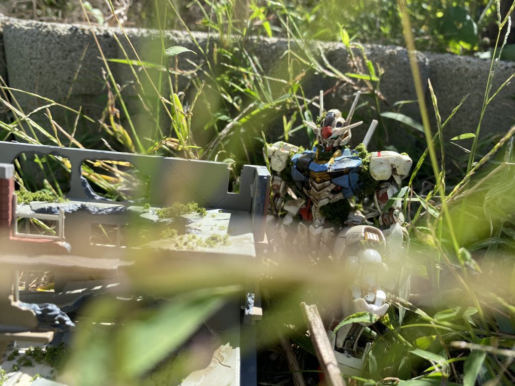 引きでとるとこんな感じ葉っぱもカメラ近づけて撮り方にも工夫 