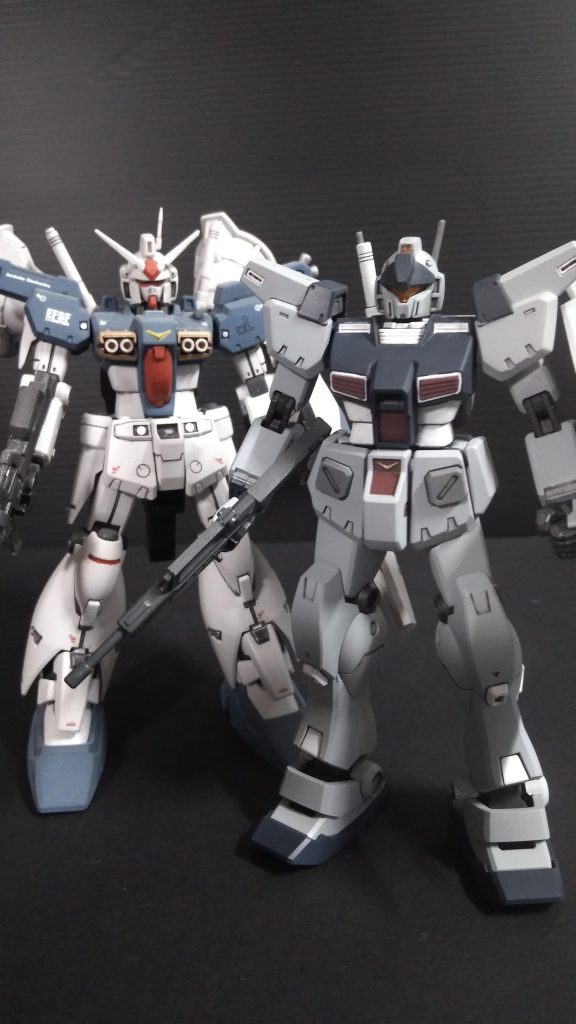 パッケージイラストにフルバーニアンが乗っていましたので一緒に撮影。最後まで御覧頂きありがとうございました。