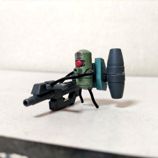 カナーサクウォーリア