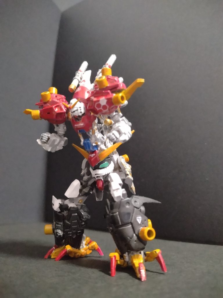 予想以上にお褒めの言葉をいただけるんで、写真を撮り直したりしてみたり。