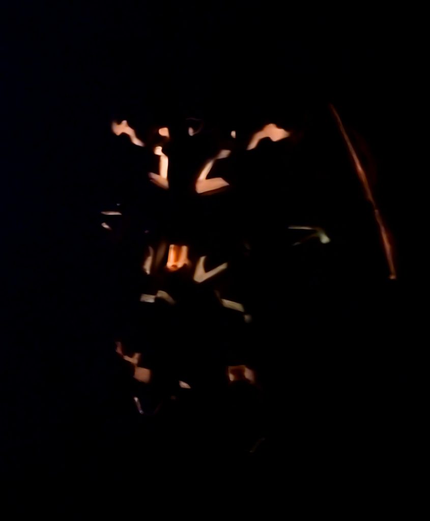 真っ暗闇だと何か分かりませんwww