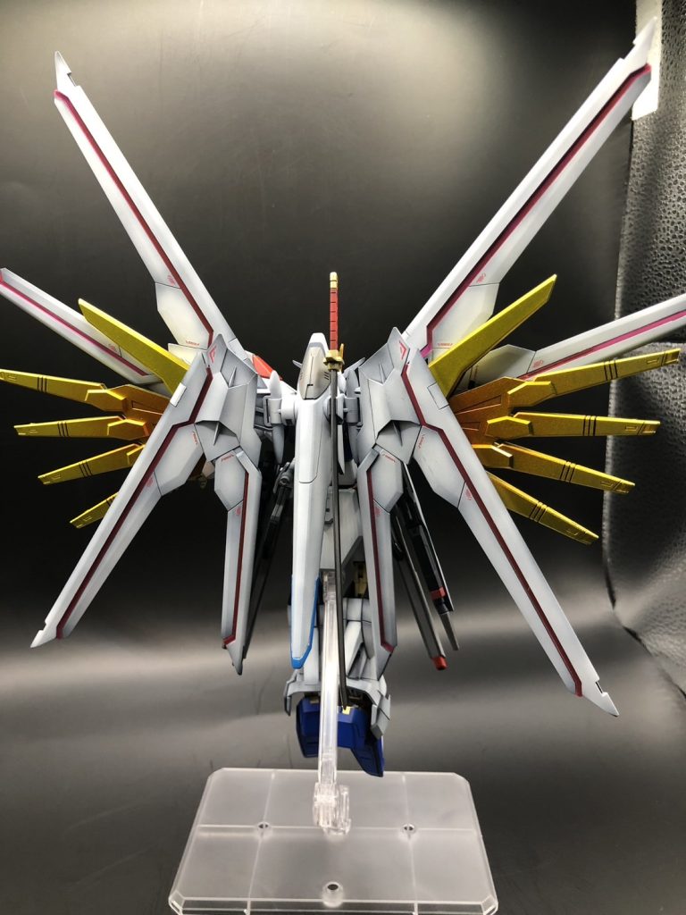 後ろ姿も美しいꉂ🤣𐤔