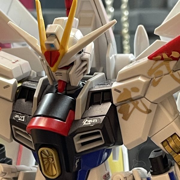 マイティストライクフリーダムガンダム