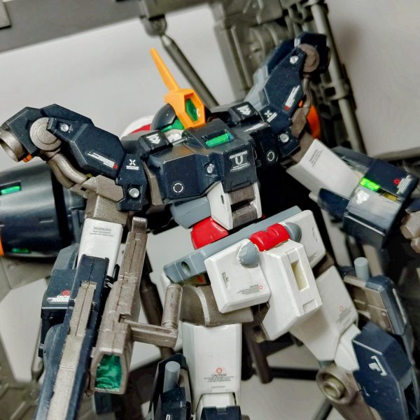 MSJ-R122 デミバーディング