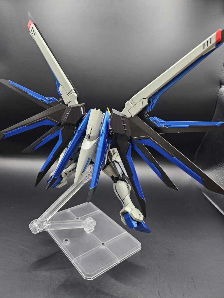 後ろ姿。翼が大きい…!