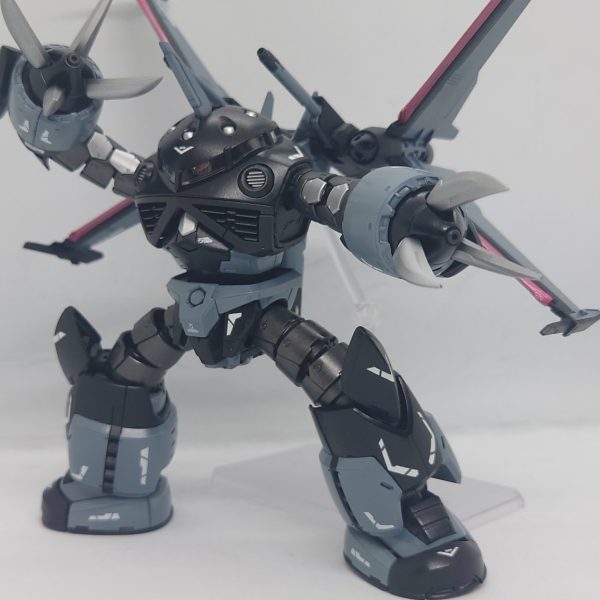 怪しいズゴックさん