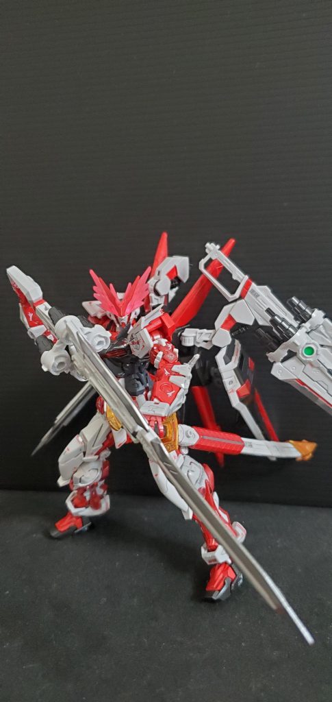 RG本体もポロリが多くて四苦八苦