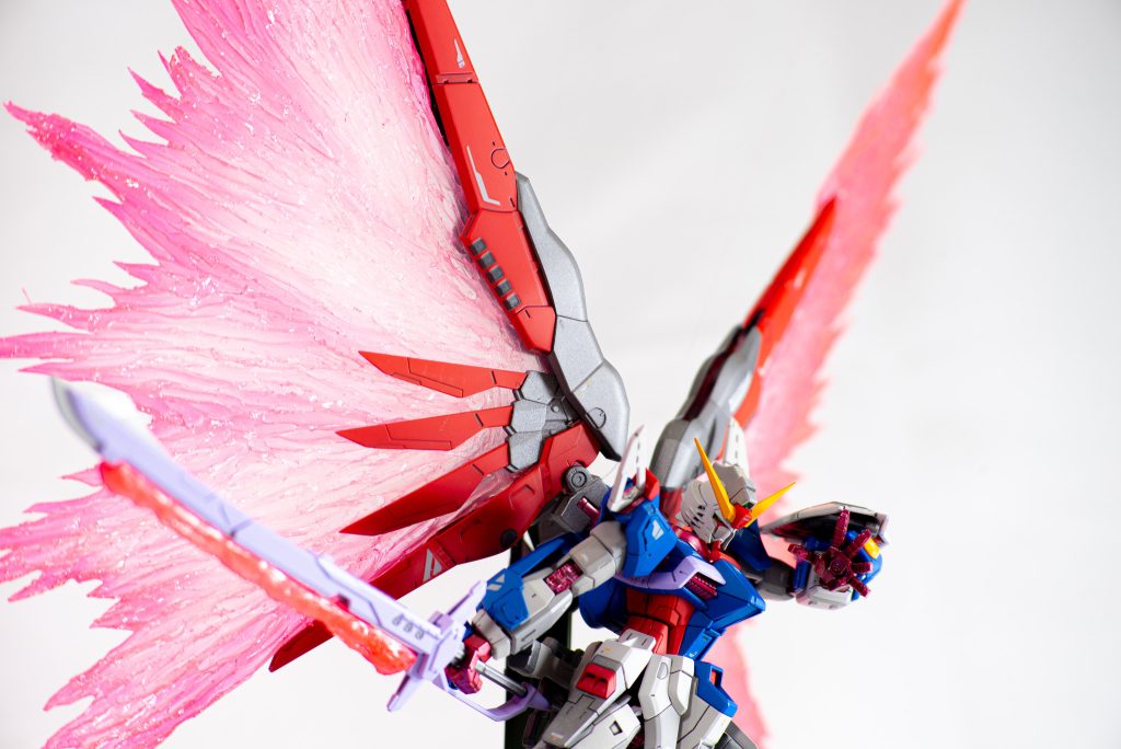 白背景でも撮ってみましたが、やはり翼が映えるのは黒背景ですね。。。