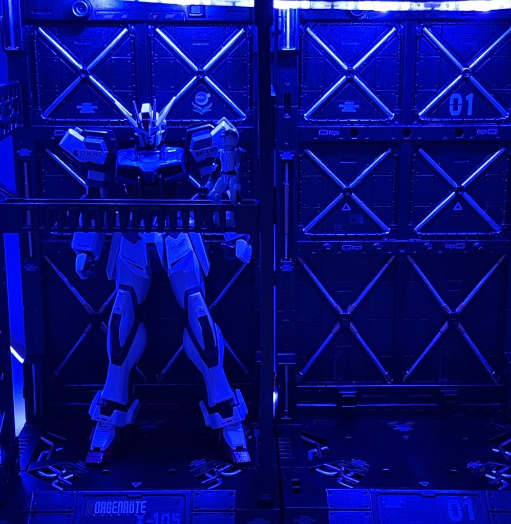 戦場で相まみえる友にキラは何を想う・・・