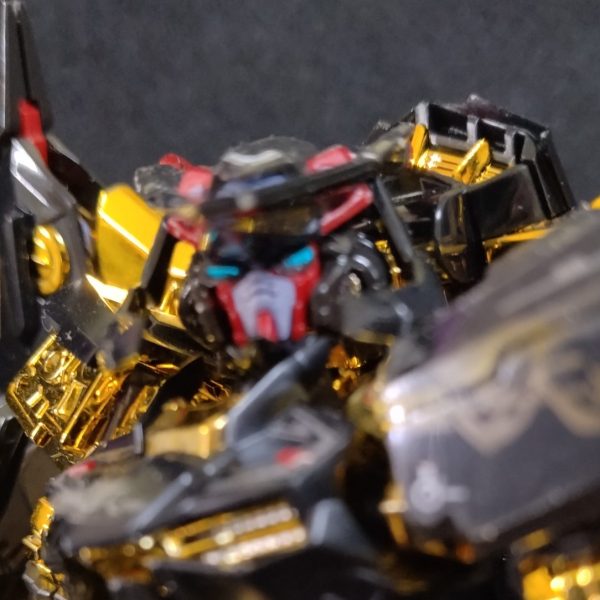 ゴールドフレーム天ミナ