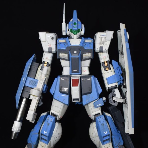 ジムドミナンス