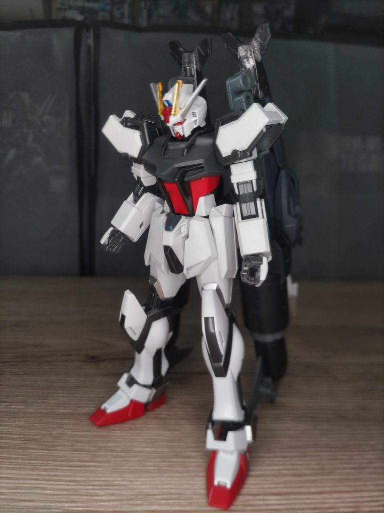 正面から。今回は水中戦を想定したものとなります。SSSS（ シーサポートストライカーシステム）バックパックに近いため正面からではわからないですね。