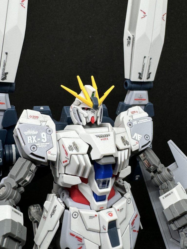 アップで正面から。右肩のちょっと白化してますね。ナラティブはシンプルに見えて割と複雑な構造をしているのでスジボリデザインが難しいなと思い、今回はスジボリ無しにしました。