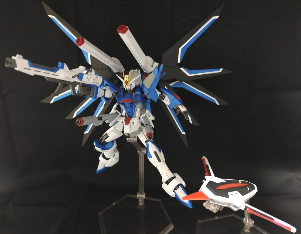 羽を広げるとダイナミックで良いですね。