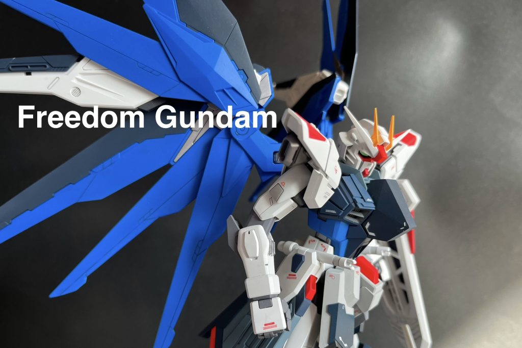 MG Freedom Gundam