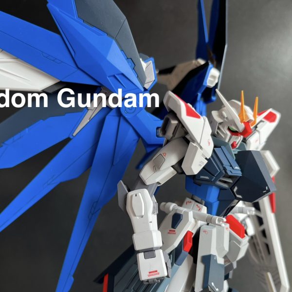 MG Freedom Gundam|kijisobaさんのガンプラ作品|GUNSTA MG Freedom Gundam|kijisobaさんのガンプラ作品|GUNSTA