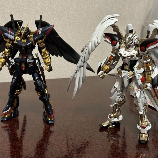 アストレイ カガリ様親衛隊機 とりあえず本体だけ