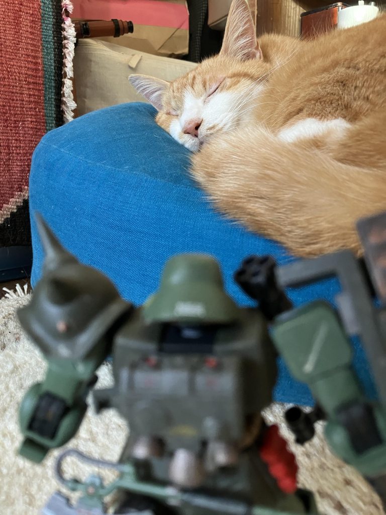 最後まで、ご覧いただきありがとうございましたm(_ _)m