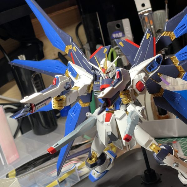 MG ストライクフリーダムガンダム