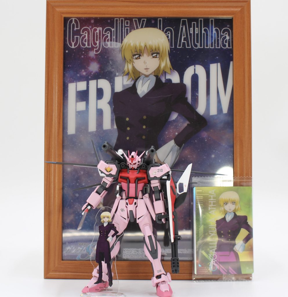 カガリ代表を支持しています