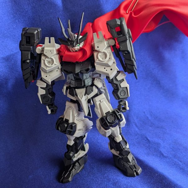 白兜『玩駄無 愚乱斗白兜』推参‼️