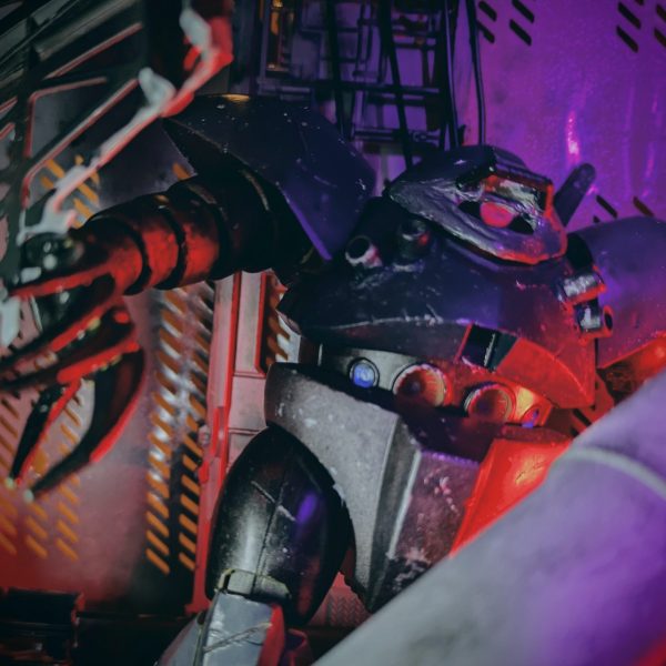 ゲリラ…招かれざる者