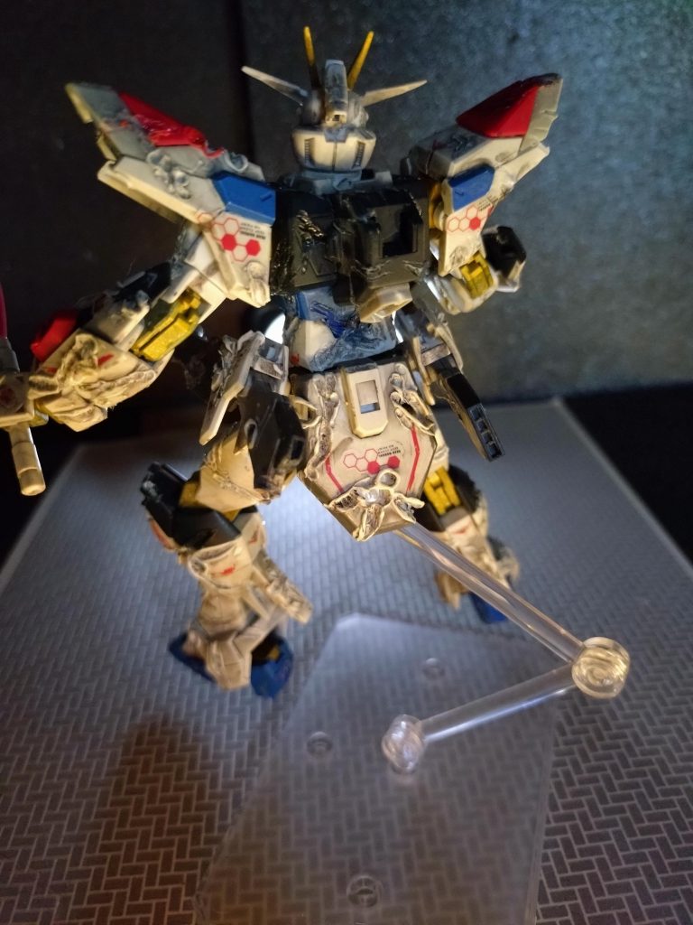 バックパックも壊れ、ギリギリで耐えている感じで撮ってまさす