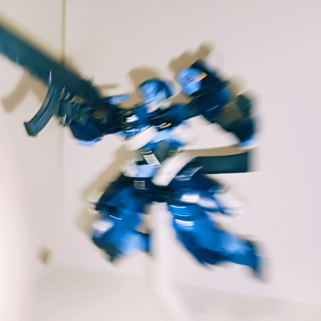 🪈躍動感溢れるピンぼけ写真です🪈