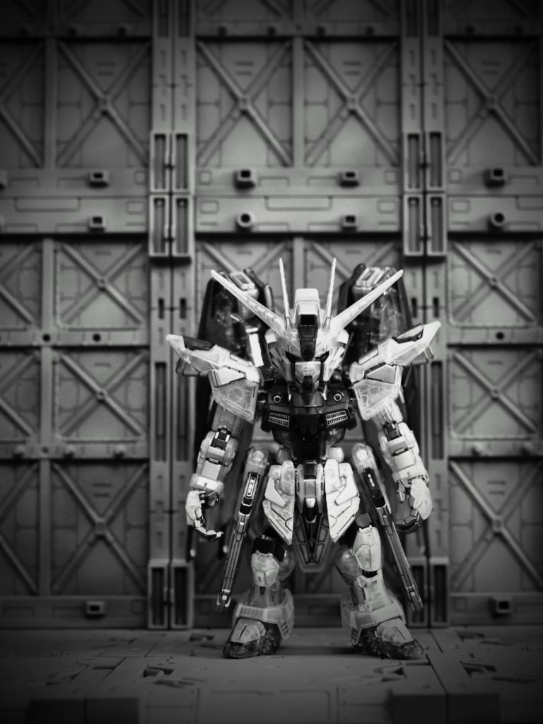 フェイズシフト装甲のディアクティブモードをモノクロで表現…できてるかな？格納庫手前にラクスとザフトレッドのキラを脳内補完していただければ幸いです。