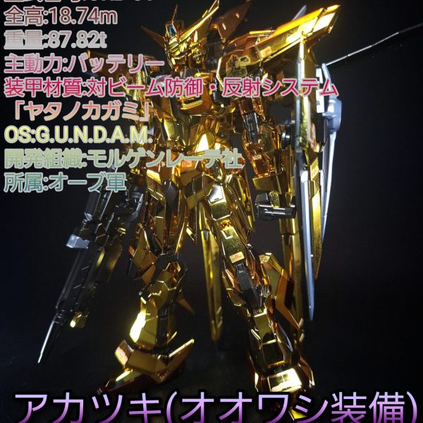 RG アカツキ(オオワシ装備)