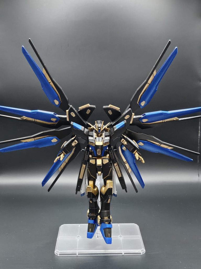 フリーダムと言えばこのポーズ！