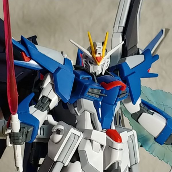 参上 HG ライジングフリーダム