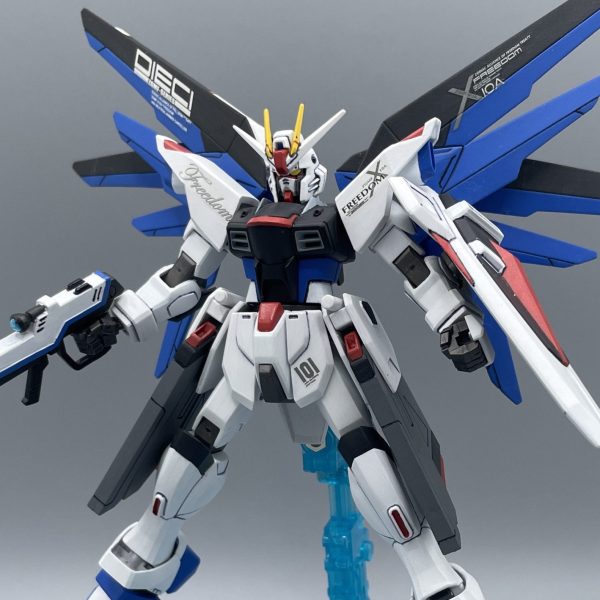 【旧HG】フリーダム ガンダム【筆塗り全塗装】