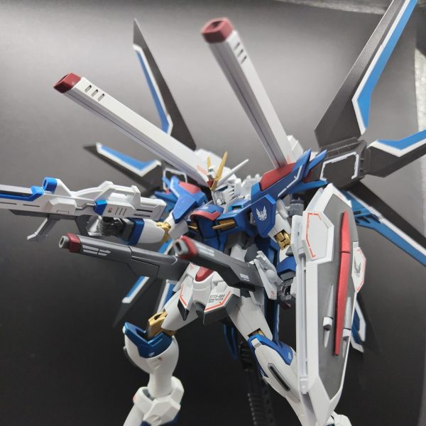 ライジングフリーダム