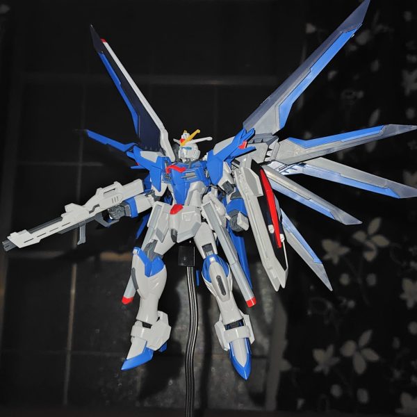 ライジングフリーダムガンダム(素組み)