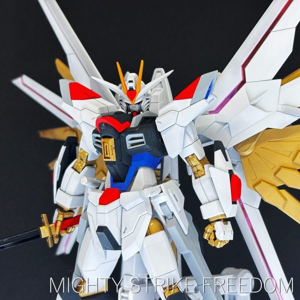 ＨＧ 1/144 マイティーストライクフリーダムガンダム