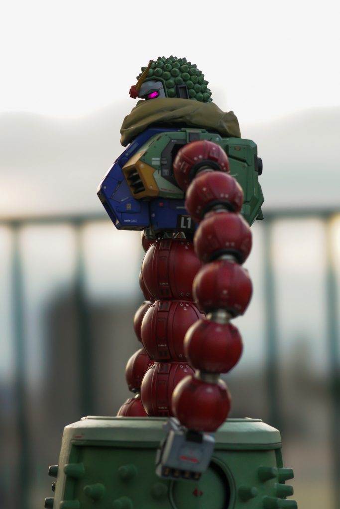 また今回は初めての試みで屋外撮影を行いました!当日は曇天の夕空で柔らかな自然光がとてもいい感じでした!