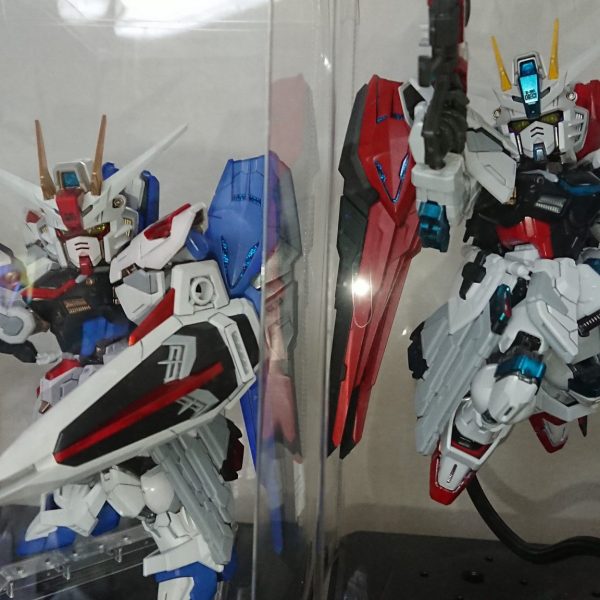 MGSD フリーダム