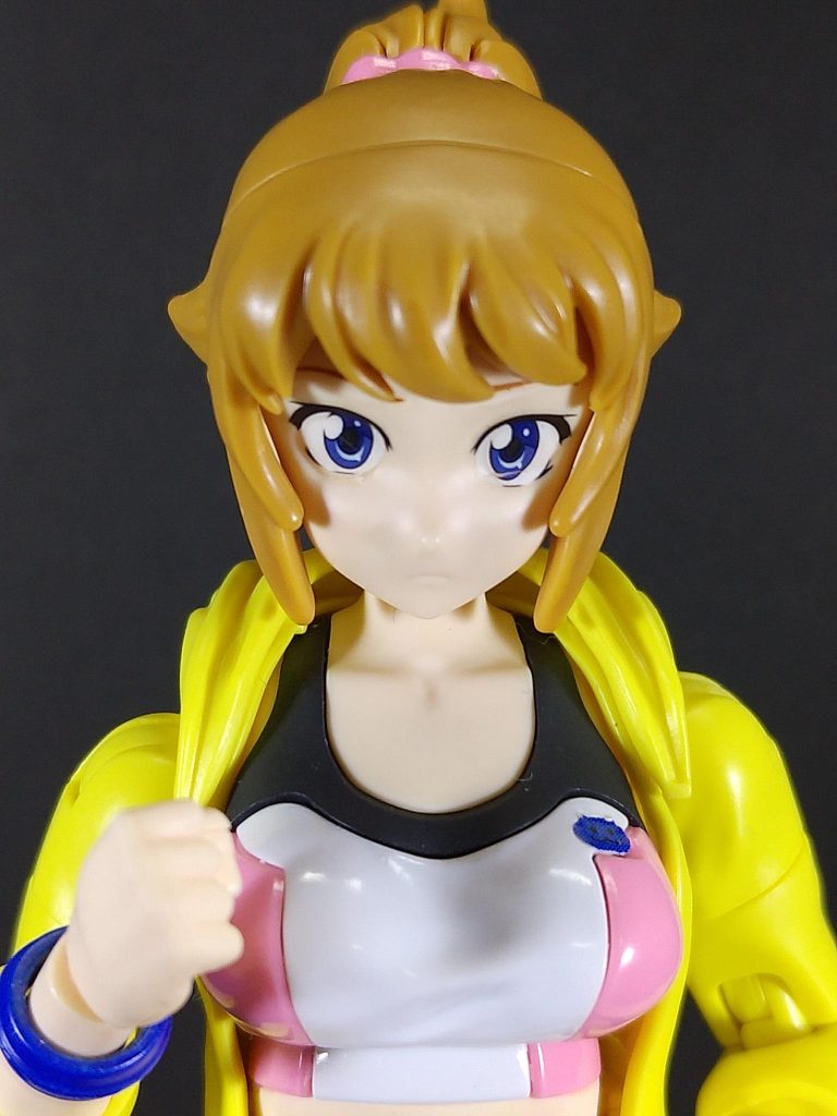 表情は付属のデカールを使用。