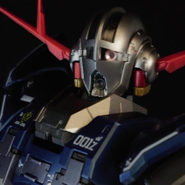 RGジオングSPコーティング