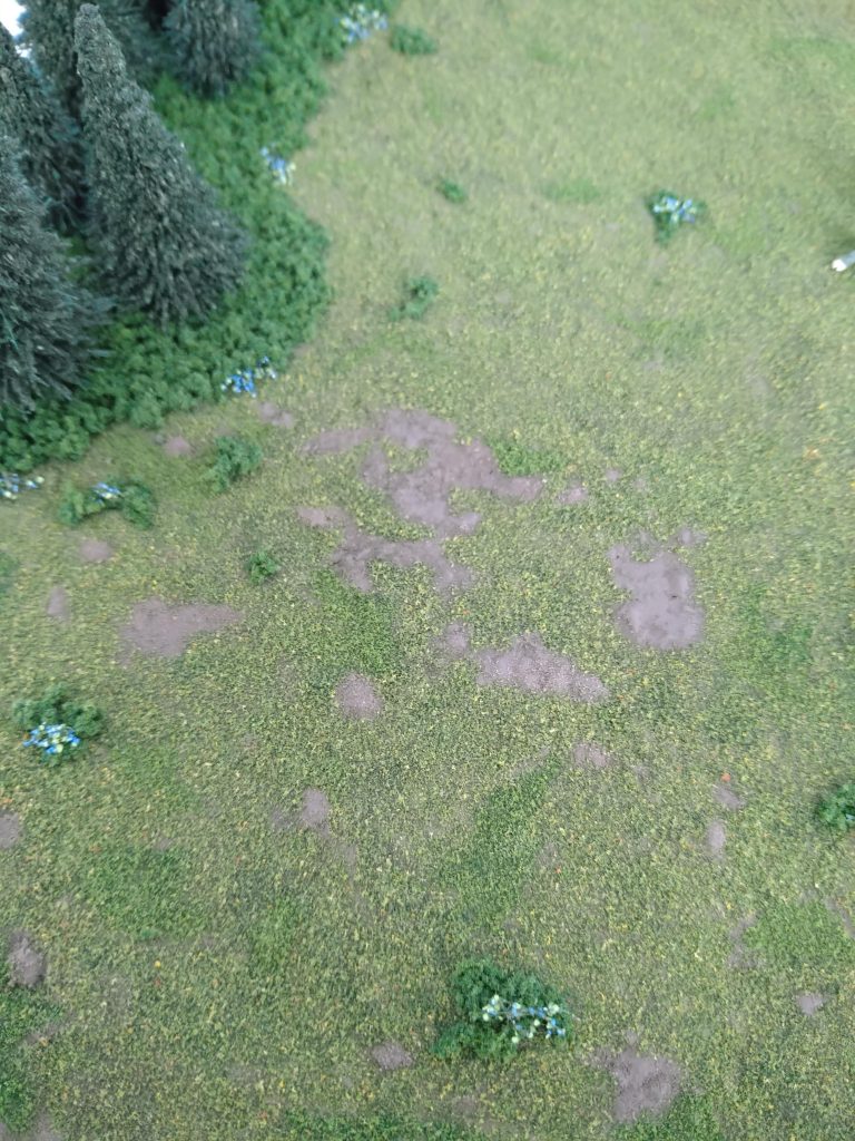 なので、野原の一部をアップで。こんな感じです。実は私、本格的なジオラマの作成は初めてでして、何を使って何をすれば良いのか、薄っすらしかイメージ出来てませんでした😅でもチョコチョコ調べたり、GUNSTAで皆様の事例を勉強したり(主にRamushizuさん、ありがとうございます🙇)、色んな素晴らしいツールに助けられ、小さな習作を5つほど練習した結果、何とか形になったので安堵してます😁