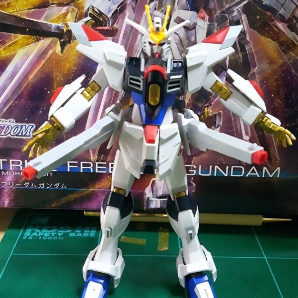 私のマイティー