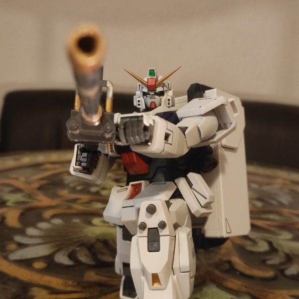 生きて帰るのではないか？