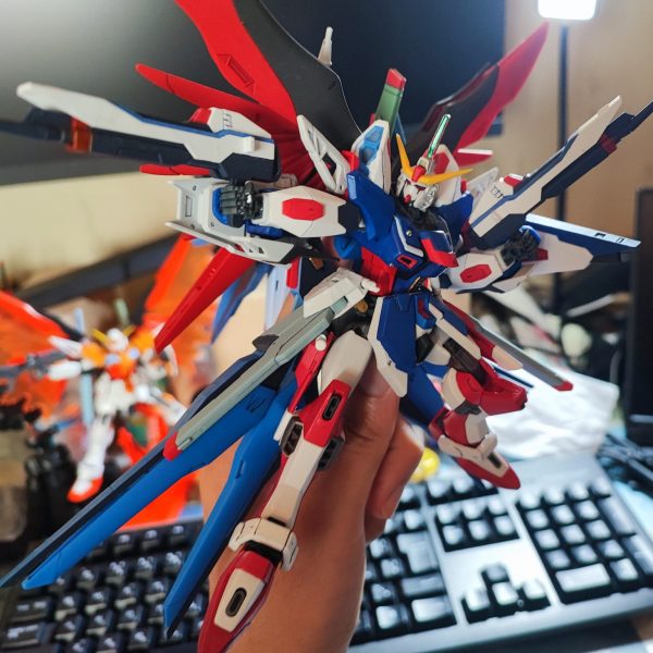 フリーダムジャスティスデスティニーにトップコートかけた