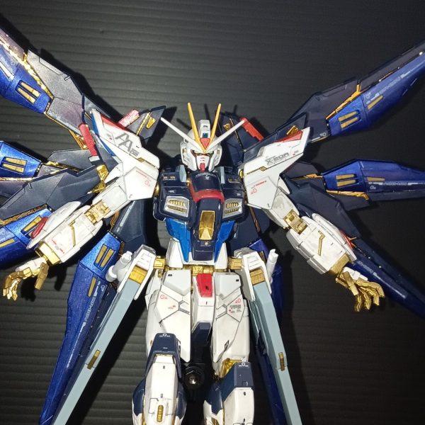 RG ストライクフリーダムガンダム