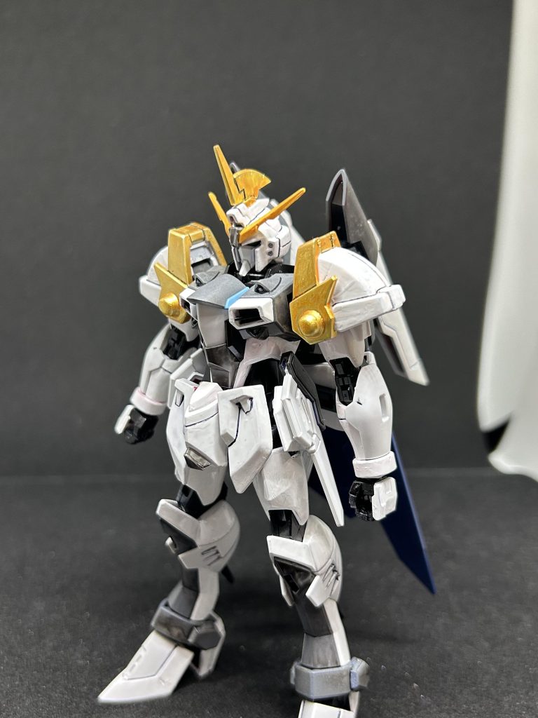 肩はジャスティスナイトをそのまま使用、あとはほぼイモータルジャスティスなんですがイモータルジャスティスって手に取るとカッコいいなーと感じております。